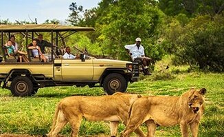 Game Drives